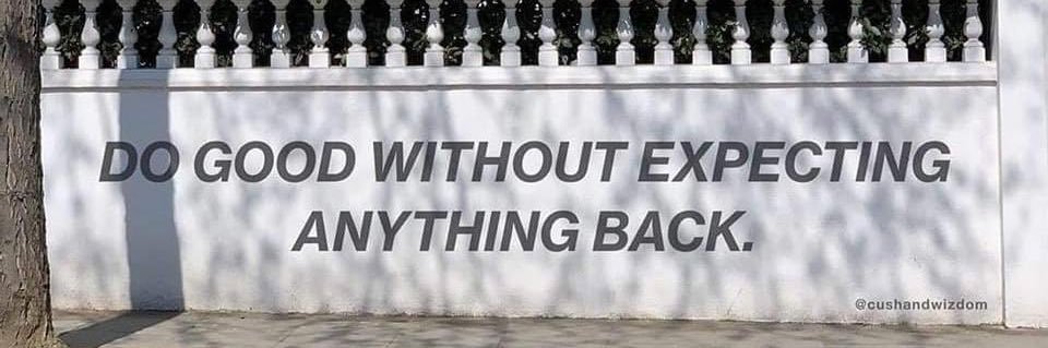 Resting Dollface banner