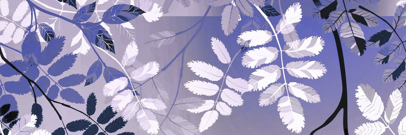Je_McNeil's profile banner image