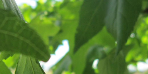 GGPDevelopments's profile banner image
