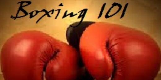 B0xing101's profile banner image