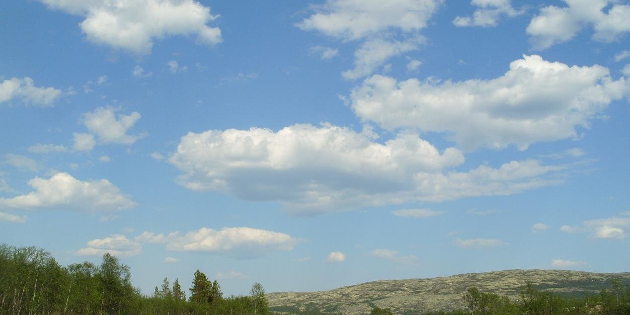 tagkg1's profile banner image