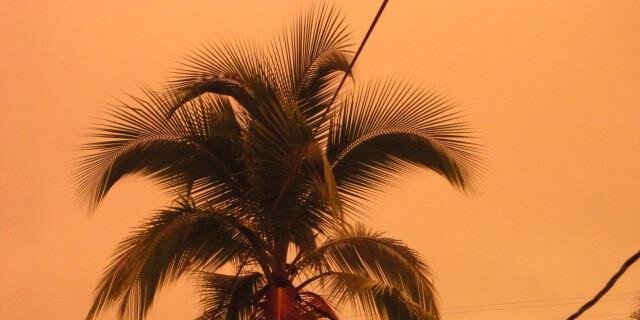 ZeneaK1's profile banner image
