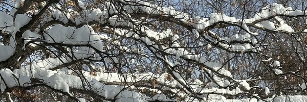 MichaelaWst Profile Banner