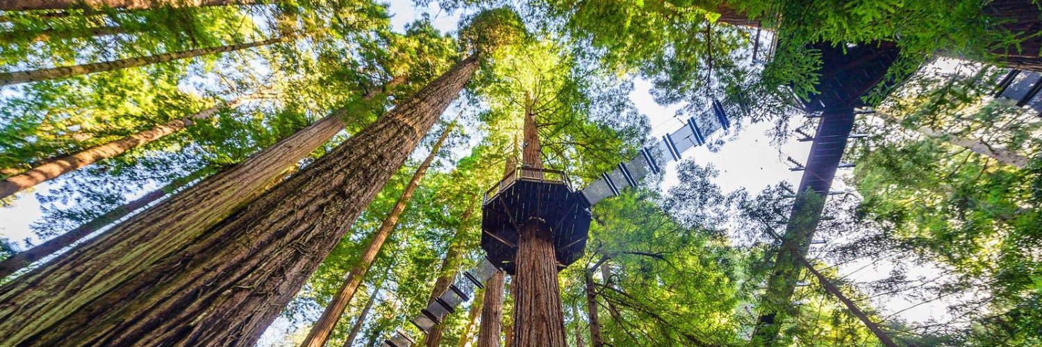 Alejandro Gonzalez banner