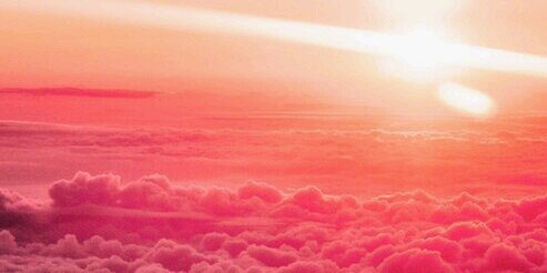 logancoelho's profile banner image