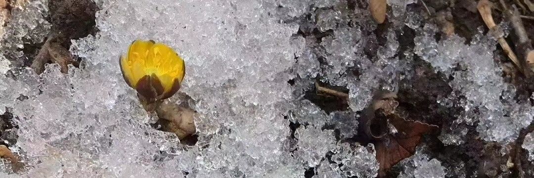 Настасья banner