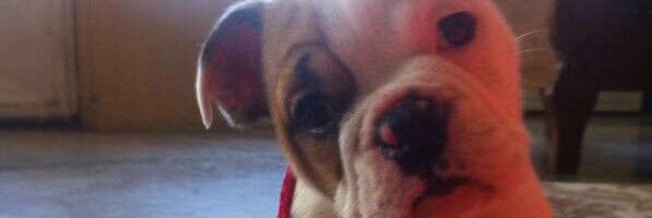 Oscarsito's profile banner image