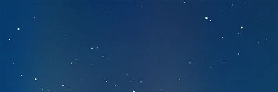 winterboobear's profile banner image