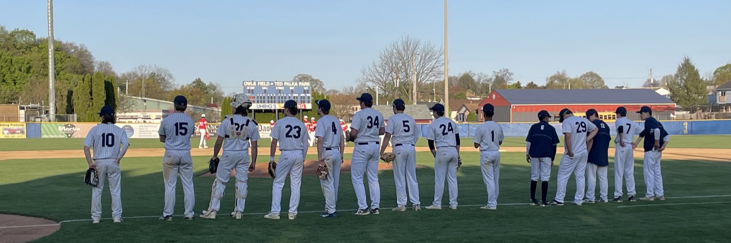 Spartan Baseball banner