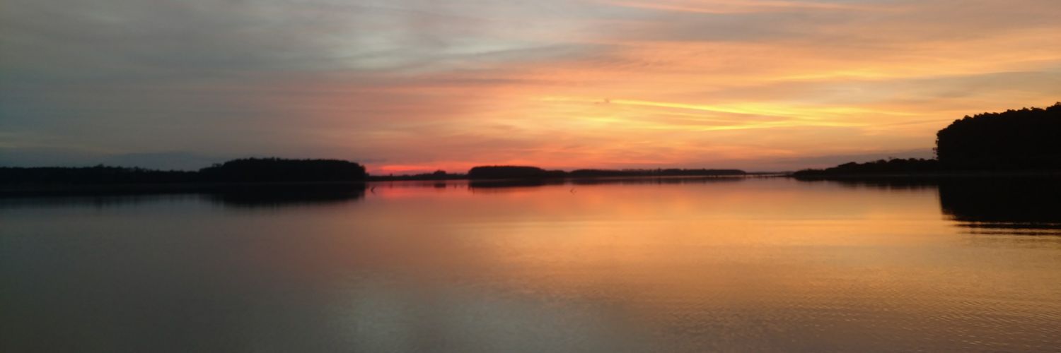 LucasBeluzzo's profile banner image