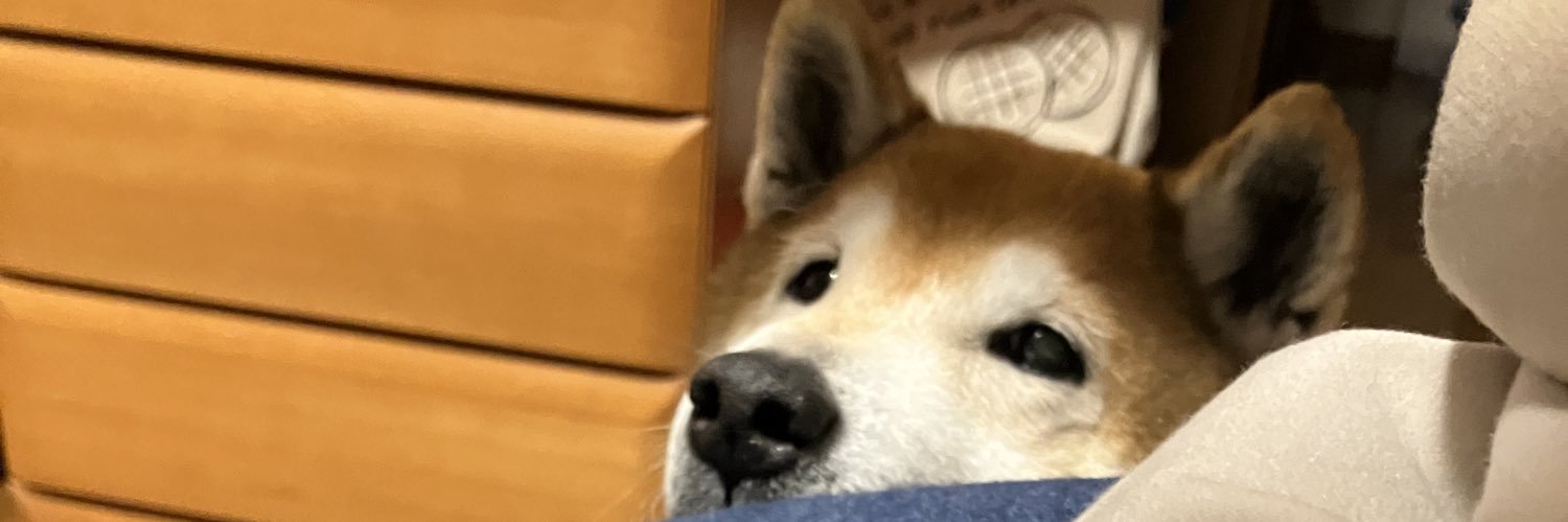 peper0n_P's profile banner image