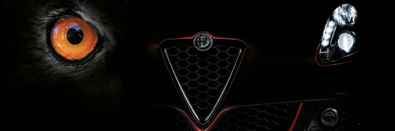 qevs's profile banner image