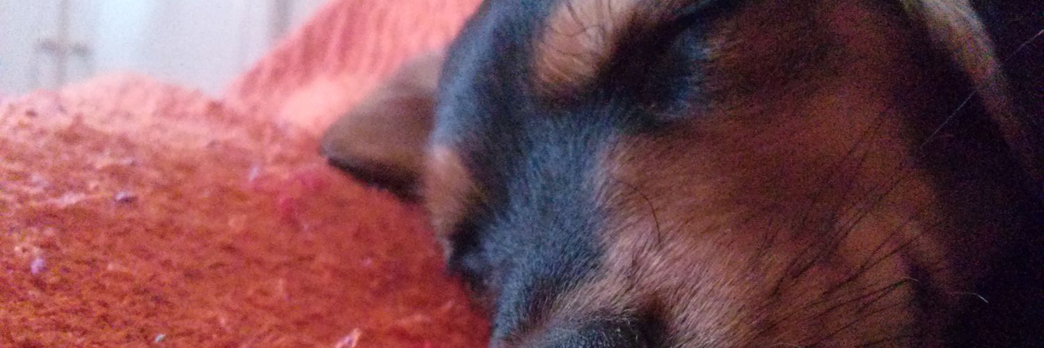 Alba_Fdz_Or's profile banner image