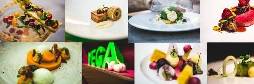Vegan Chef Friedjof banner