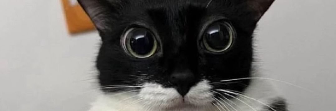 almostabrit's profile banner image