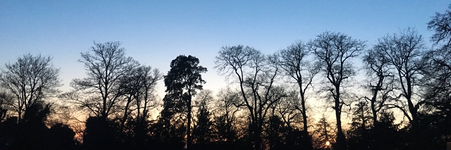 BethDxn's profile banner image