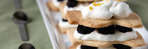 TheGuavaCompan1 Profile Banner