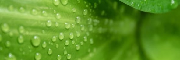 ScrilyCom's profile banner image