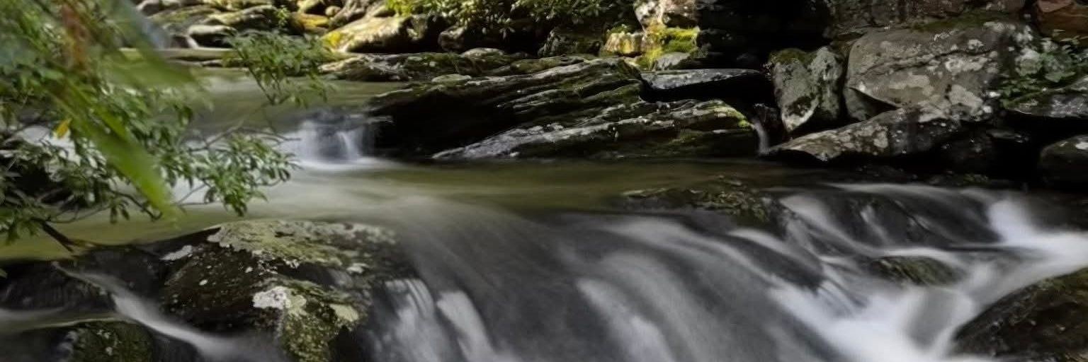 BethJ795's profile banner image