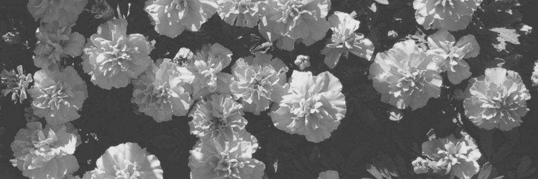 jamless_swift's profile banner image