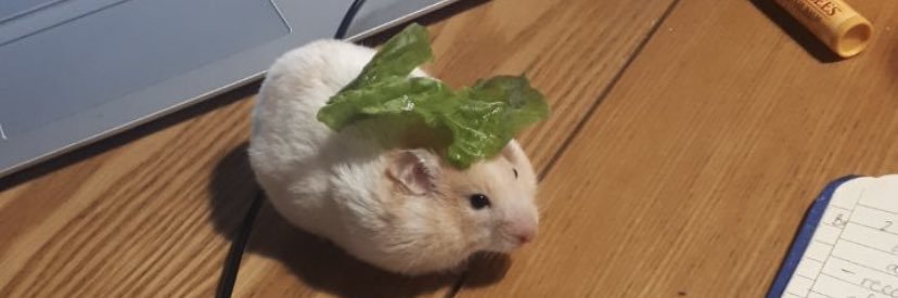 nicetrystace's profile banner image