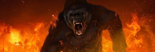 tgill02's profile banner image