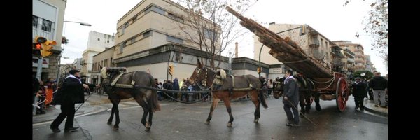 TraginersIgd Profile Banner