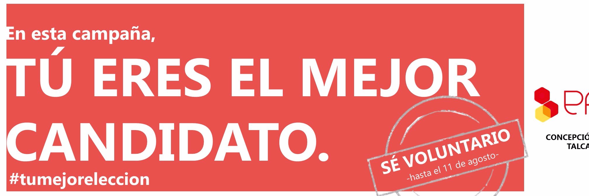 Panal - Chile banner