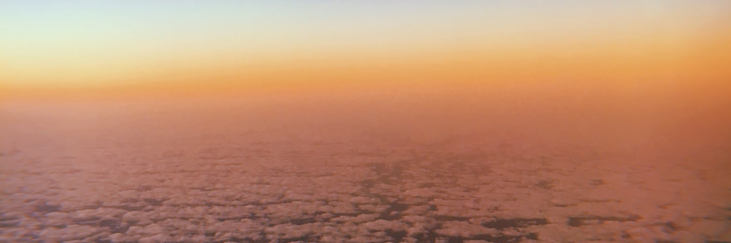 monicacamara1's profile banner image