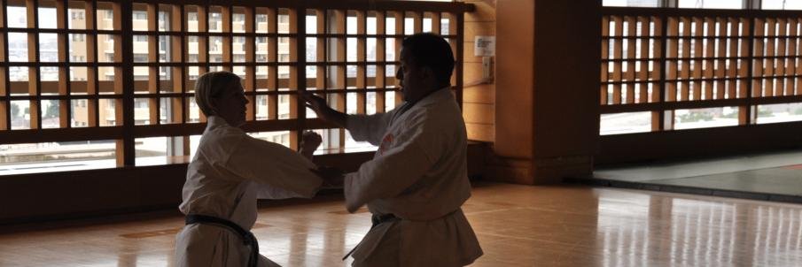 osunakarate's profile banner image