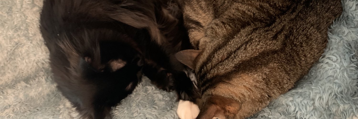 MagusThree's profile banner image