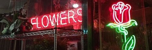 JorgeNu98's profile banner image