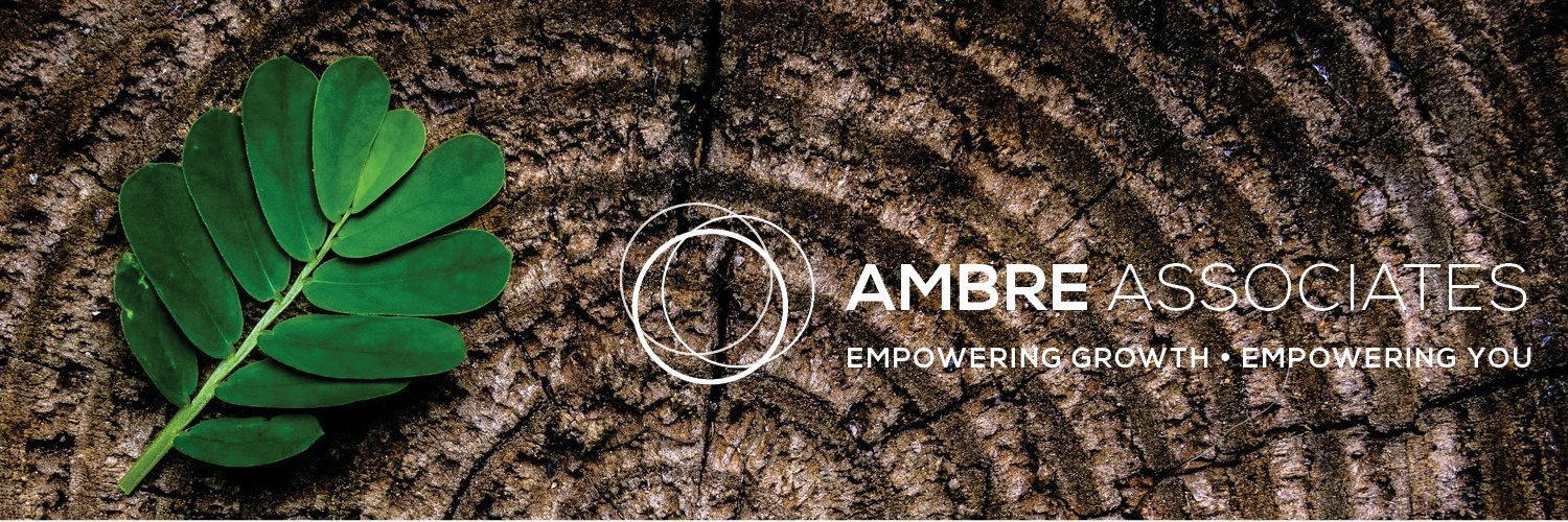 Ambre Associates LLC's banner