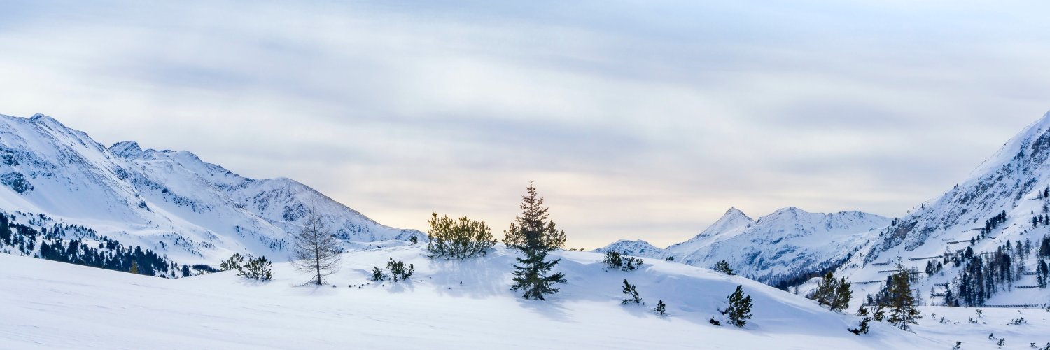 PugetSoundPMI's profile banner image
