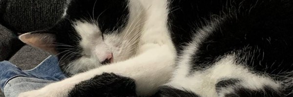nowayjeff Profile Banner