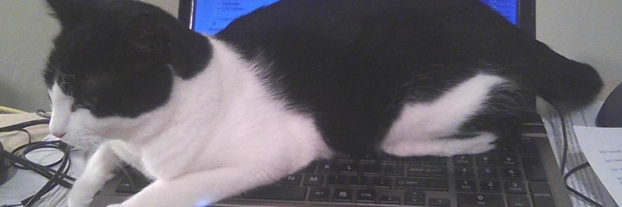 Geoffrey Hooker banner