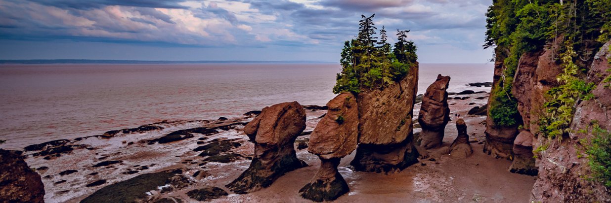 PMI New Brunswick Chapter banner