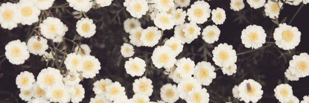 JRJ_33's profile banner image