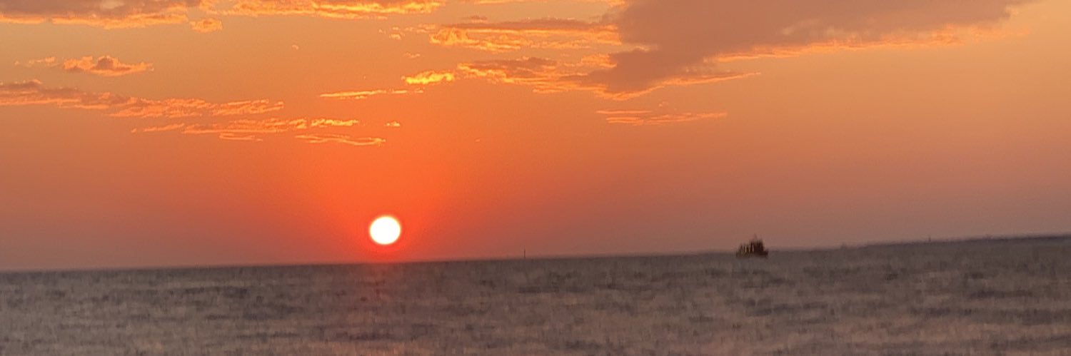 cindyrRoo's profile banner image