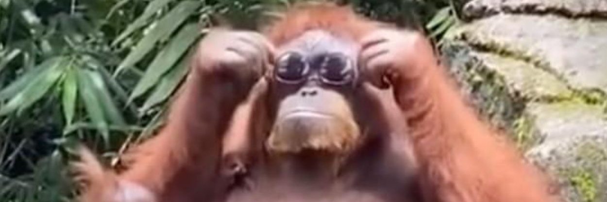 Victor | ETHGas ⛽ banner