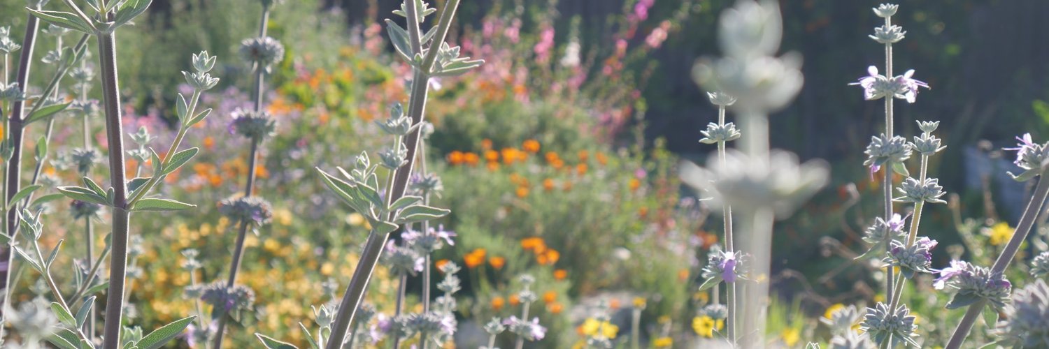 CBWaterConservDist banner