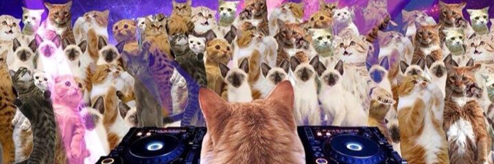 Ccarebbear23's profile banner image