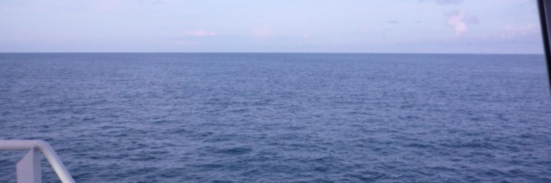 rodrigod1978's profile banner image