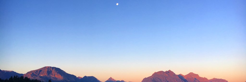 clairedotsonn's profile banner image
