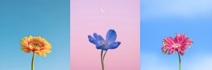 misjustice's profile banner image