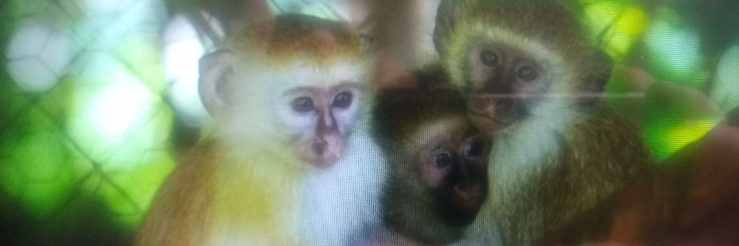KingZeef's profile banner image
