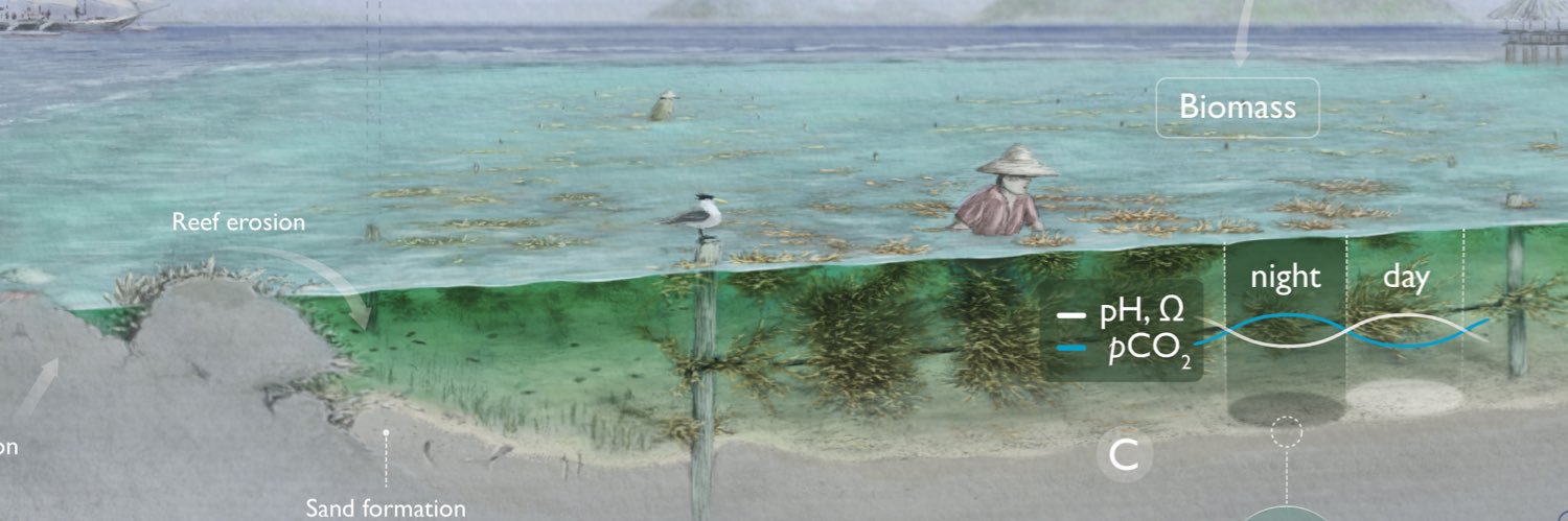 ivan gromicho banner