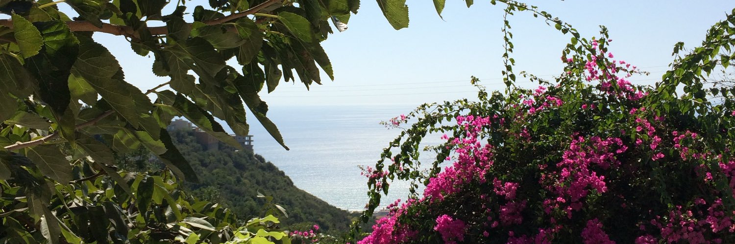 yesil_ece's profile banner image