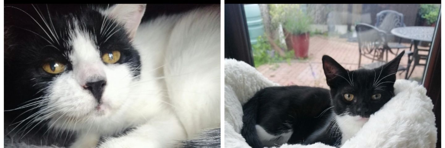 brad_zoe's profile banner image