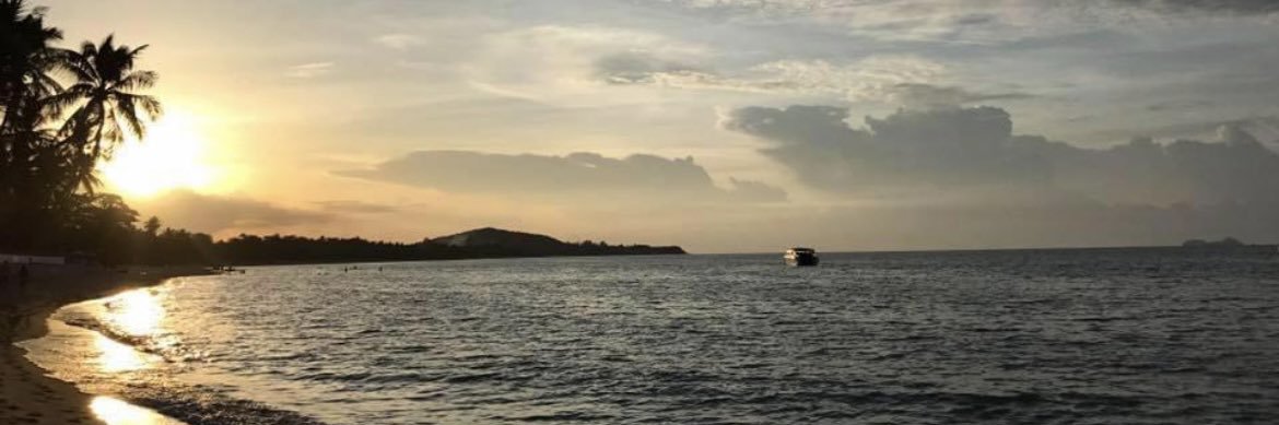 bartvanginderen's profile banner image